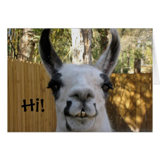 Llama Card... Cards