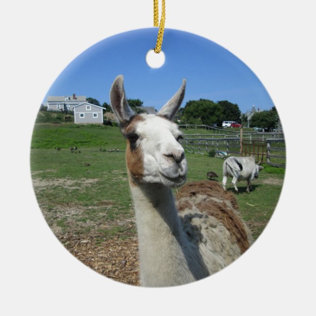 Llama Ceramic Ornament (Front)