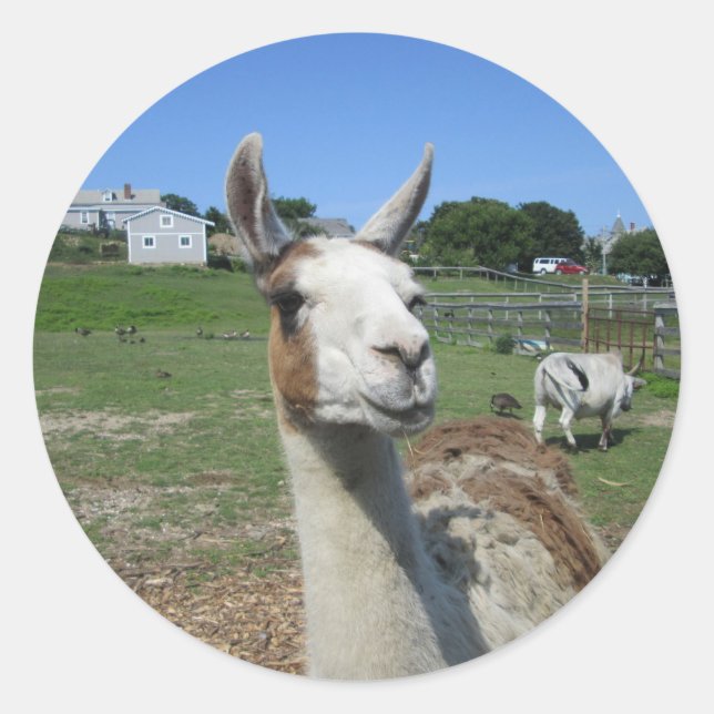 Llama Classic Round Sticker (Front)