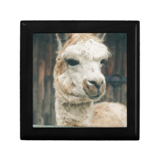 Llama Close Up Keepsake Box