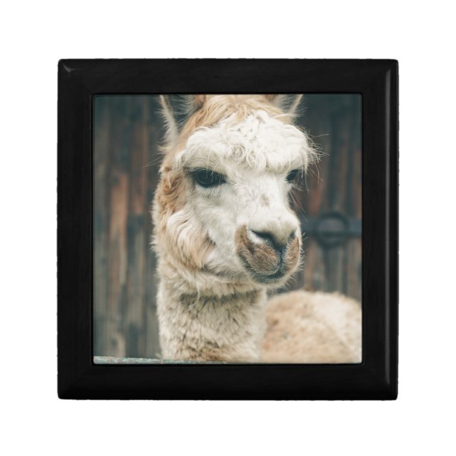 Llama Close Up Keepsake Box (Front)