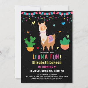 Llama Colorful Kids Birthday Party Invitation