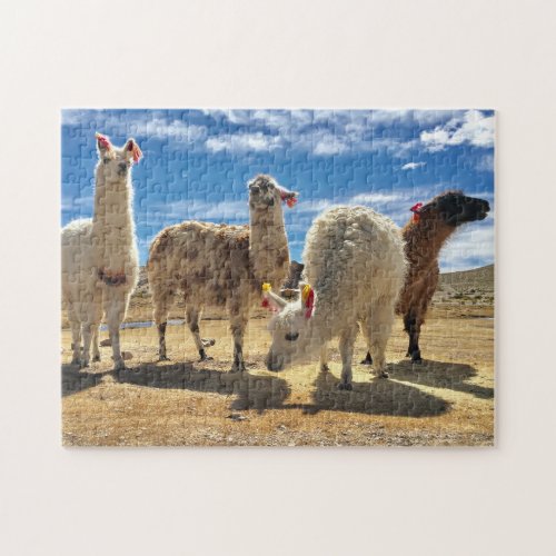 Llama Crew Jigsaw Puzzle