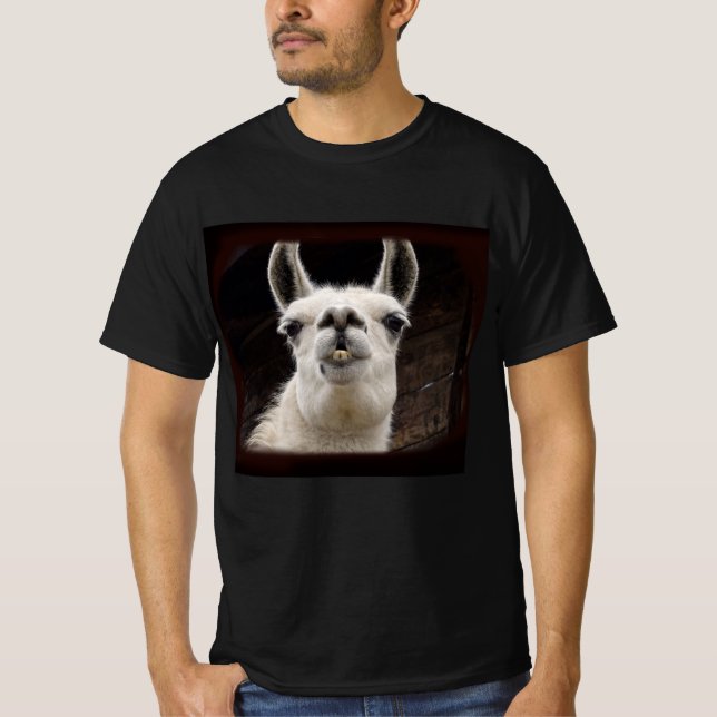 Llama Drama – Ich hab dich im Blick T-Shirt (Front)