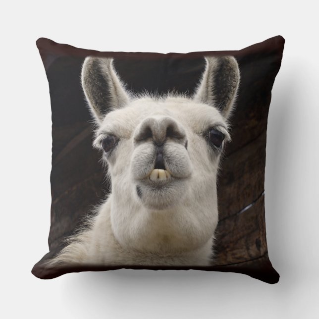 Llama Drama – Ich hab dich im Blick Throw Pillow (Front)