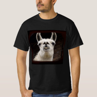 Llama Drama – I've Got My Eye On You T-Shirt