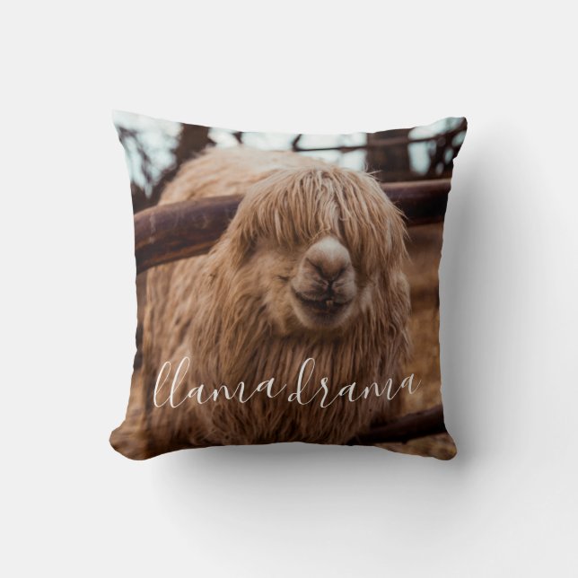 Llama Drama Silly and Fun Alpaca Throw Pillow (Front)