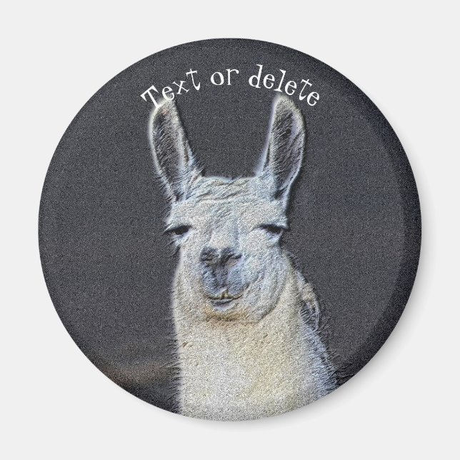 Llama Face Animal Art Personalized Magnet (Front)