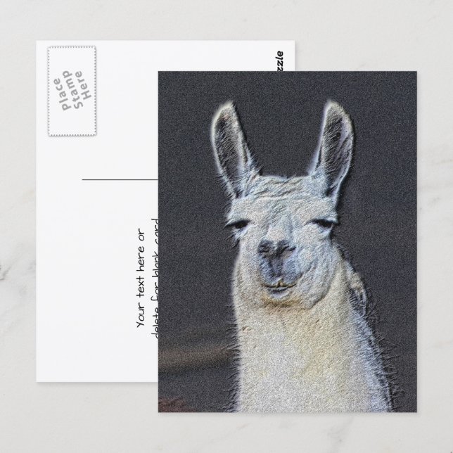 Llama Face Animal Art Personalized Postcard (Front/Back)