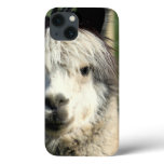 Llama Face iPhone 13 Case