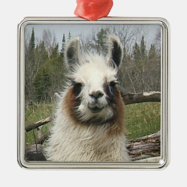 LLAMA FACE METAL ORNAMENT (Front)