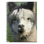 Llama Face Notebook