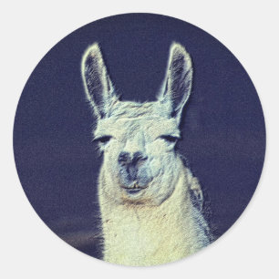 Llama Face Pencil Art Classic Round Sticker