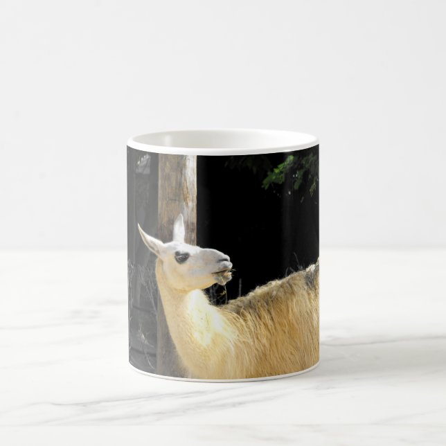 Llama feeding coffee mug (Center)