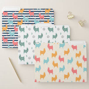 Llama folders