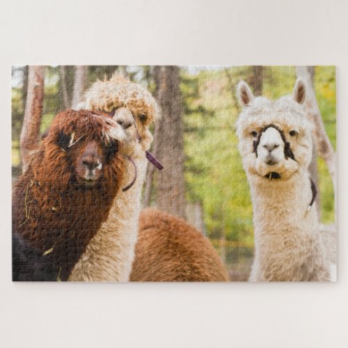 Llama Friends Jigsaw Puzzle