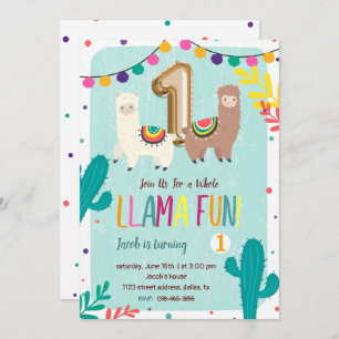 Llama Fun 1st Birthday Invitation