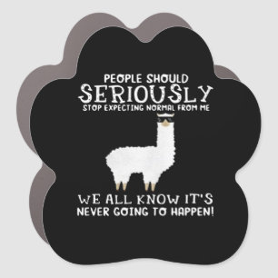 Llama Gift People should seriously Car Magnet