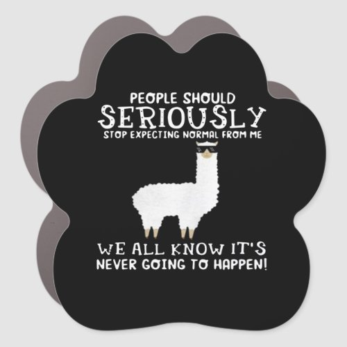 Llama Gift  People should seriously Car Magnet