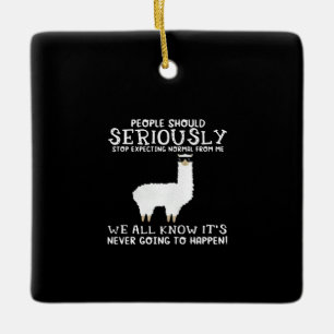 Llama Gift People should seriously Ceramic Ornament