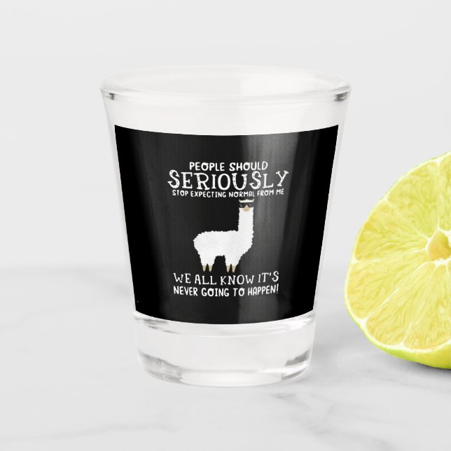 Llama Gift | People should seriously Shot Glass (Front)
