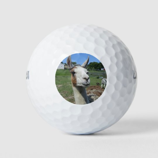 Llama Golf Balls Zazzle com Llama Golf Balls Zazzle com