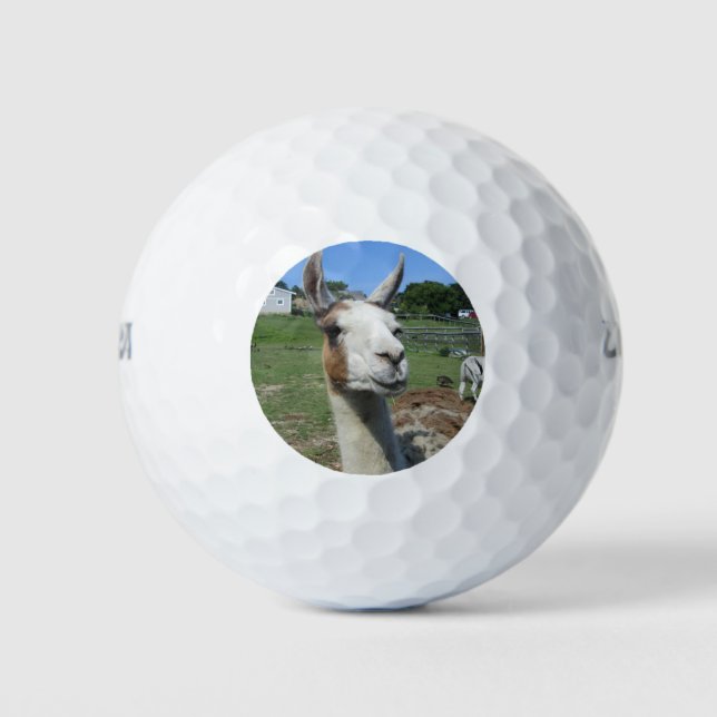 Llama Golf Balls (Front)