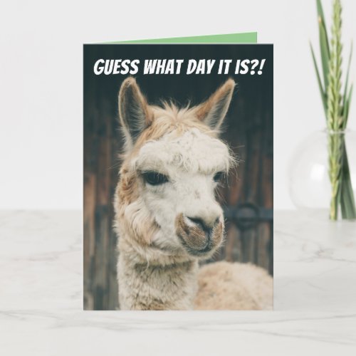 Llama_ Guess What Day It Is_ It Aint Hump Day Card