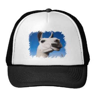 Llamas With Hats & Llamas With Trucker Hat Designs | Zazzle