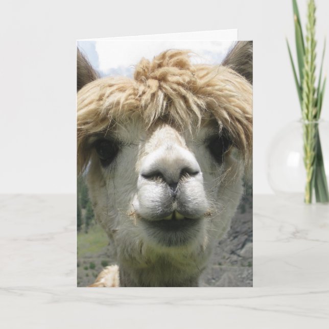 LLAMA I LLOVE YOU GREETING CARDS (Front)