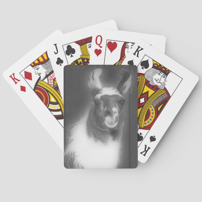 Llama In Black And White Farm Animal  Poker Cards (Back)
