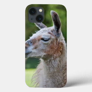 Llama iPad Case