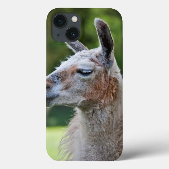 Llama iPad Mini Case (Back)
