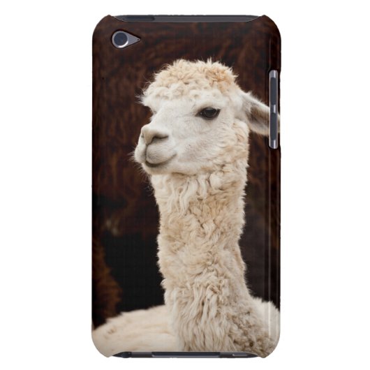 Llama iPod Touch Cover (Back)