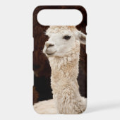 Llama iPod Touch Cover (Back)