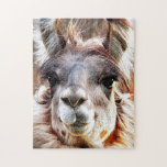 Llama Jigsaw Puzzle<br><div class="desc">What could be cuter than a Llama with an attitude? She's adorable and she knows it! From her voluptuous lips to her long, thick eyelashes. Diva from head to toe!</div>