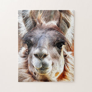 Llama Jigsaw Puzzle