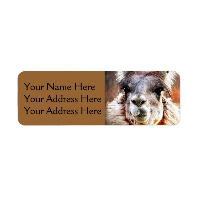 Llama Label (Front)