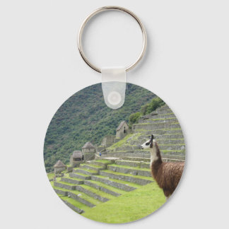 llama lands keychain