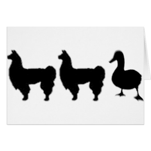 Llama Llama Duck Cards (Front Horizontal)
