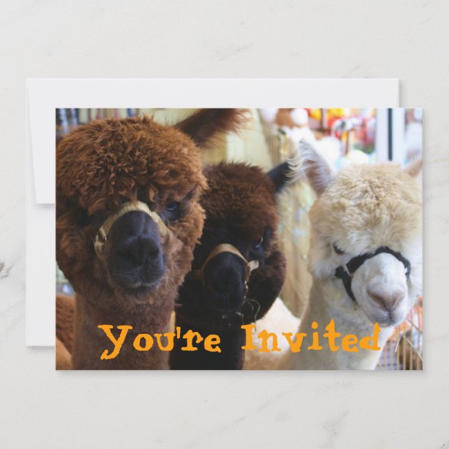 Llama Llama Invitation (Front)