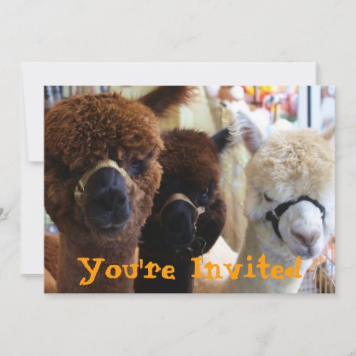 Llama Llama Invitation