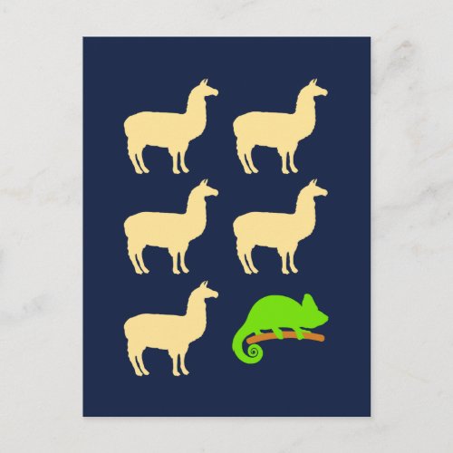 Llama Llama Llama Llama Llama Chameleon Postcard