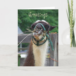 Llama Llunch, Greetings Card