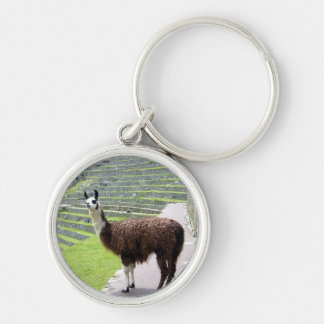 llama looking keychain