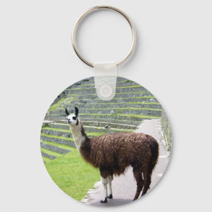 llama looks keychain