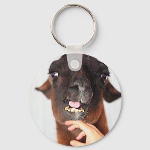 Llama Love Keychain