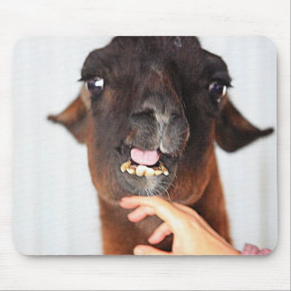 Llama Love Mouse Pad