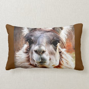 Llama Lumbar Pillow by Vanillaextinctions at Zazzle
