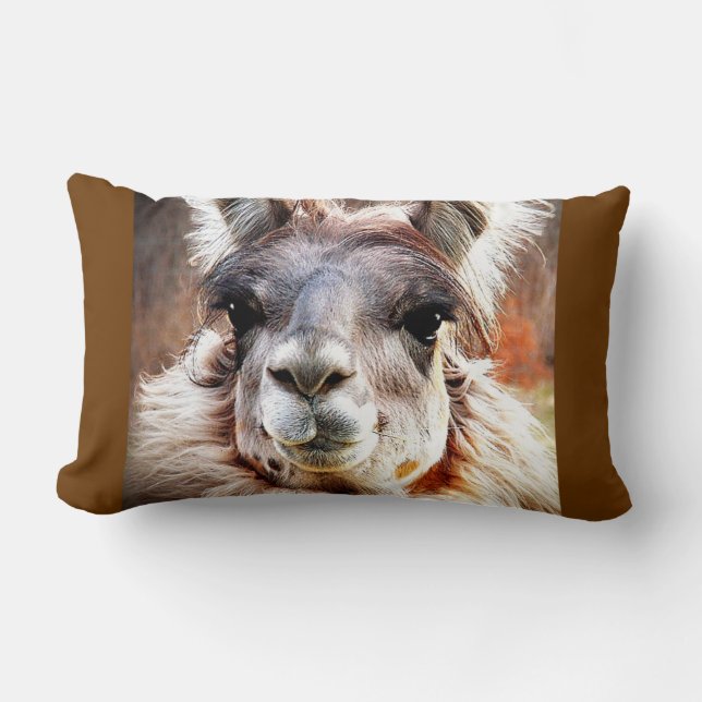 Llama Lumbar Pillow (Front)
